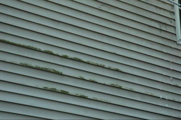 Color Fading of sidings